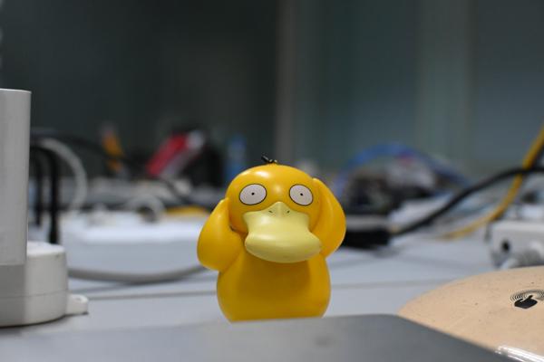 可达鸭也算动物吧\doge